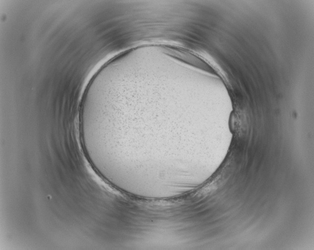 X0000070211100200606161635