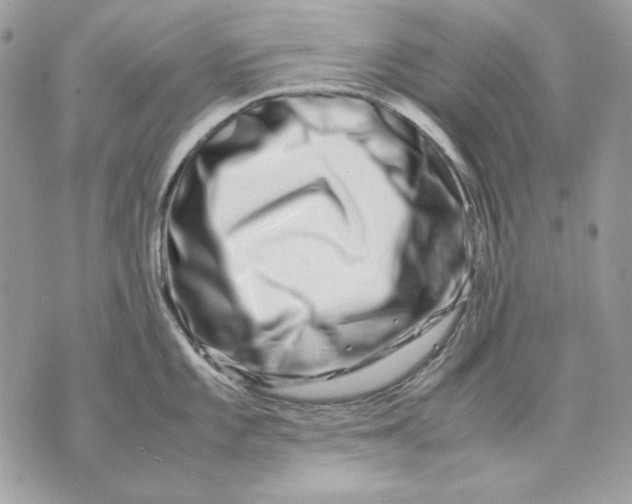 X0000070211101200606161635