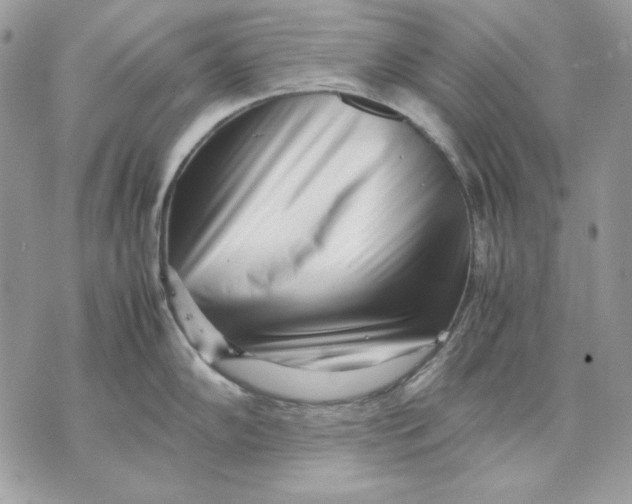 X0000070211102200606161635