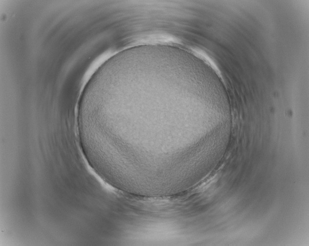 X0000070211103200606161635