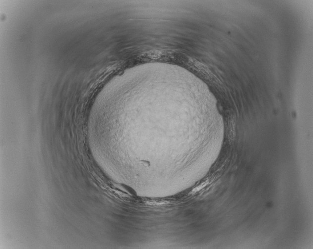 X0000070211105200606161634