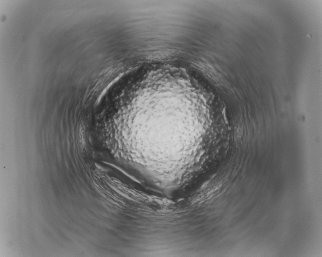 X0000070211106200606161634