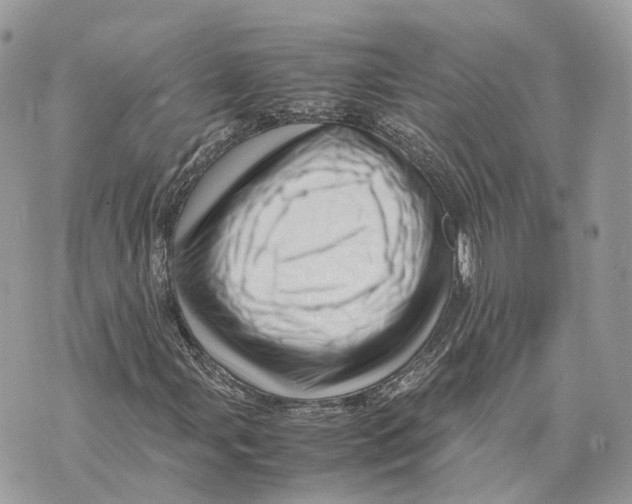 X0000070211107200606161634