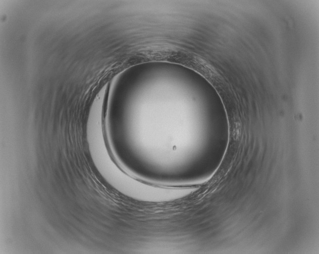 X0000070211108200606161634