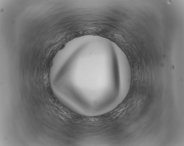 X0000070211109200606161634