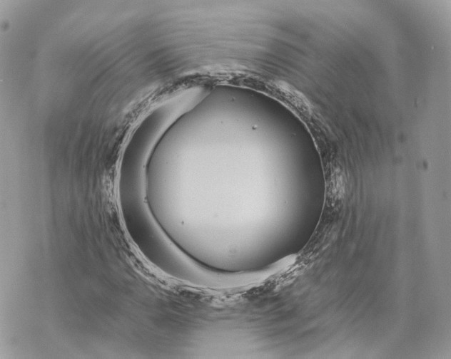 X0000070211110200606161634