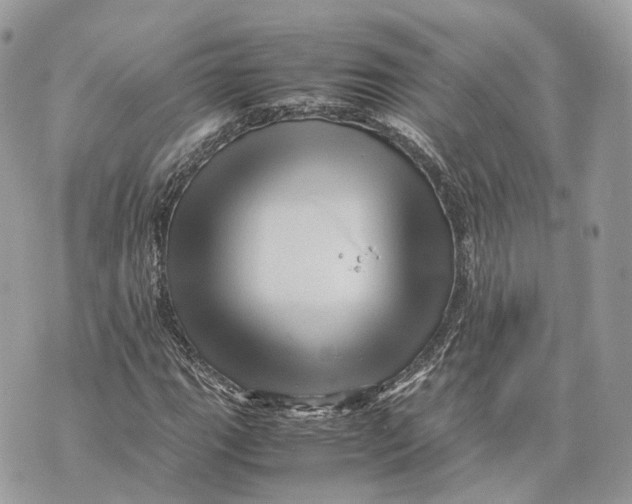 X0000070211111200606161634