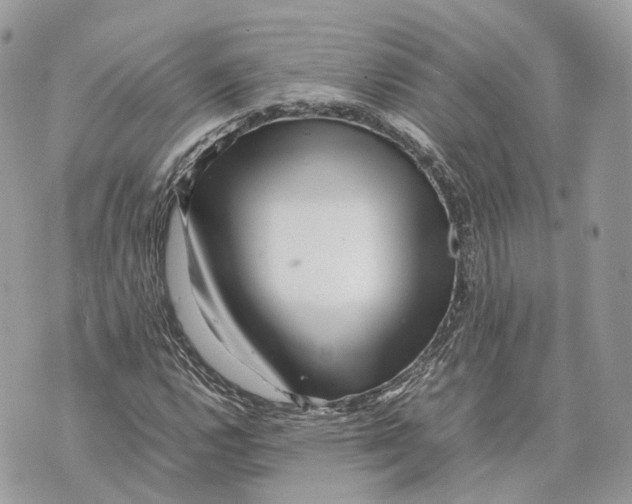 X0000070211112200606161634