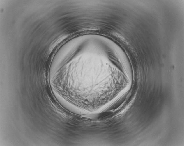 X0000070211113200606161634