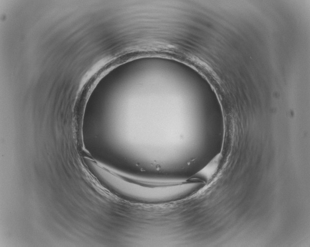 X0000070211114200606161634