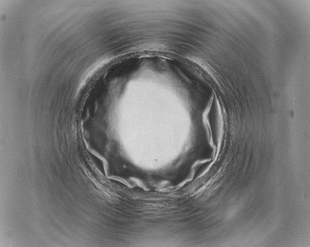 X0000070211115200606161634