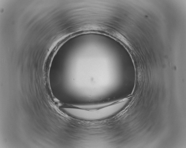 X0000070211116200606161634