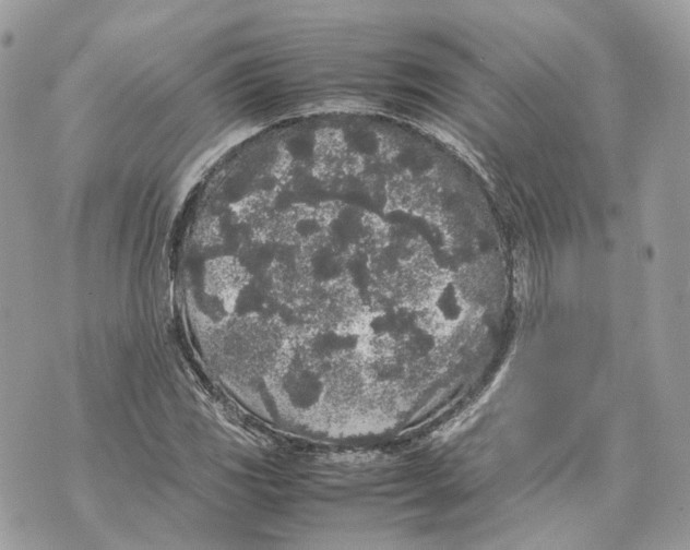 X0000070211117200606161634