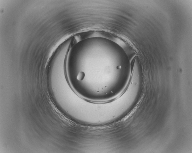 X0000070211118200606161634