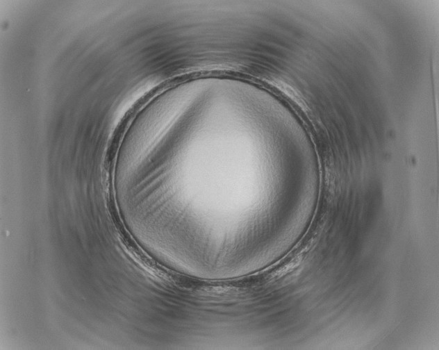 X0000070211119200606161634