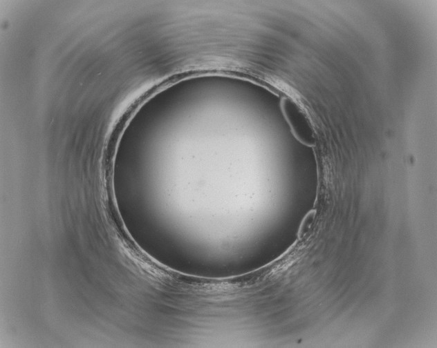 X0000070211120200606161635