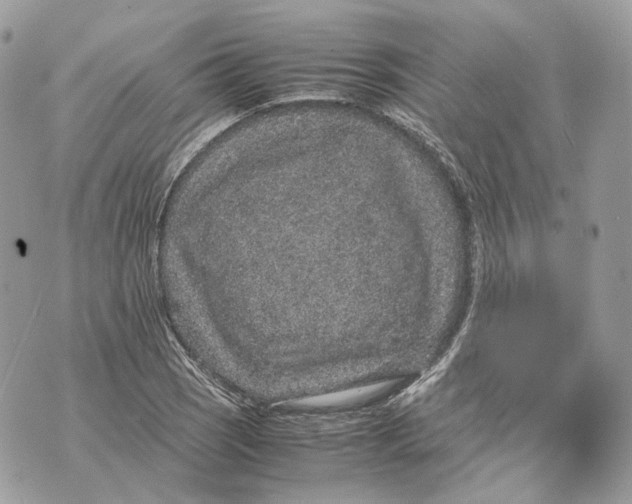 X0000070211121200606161635