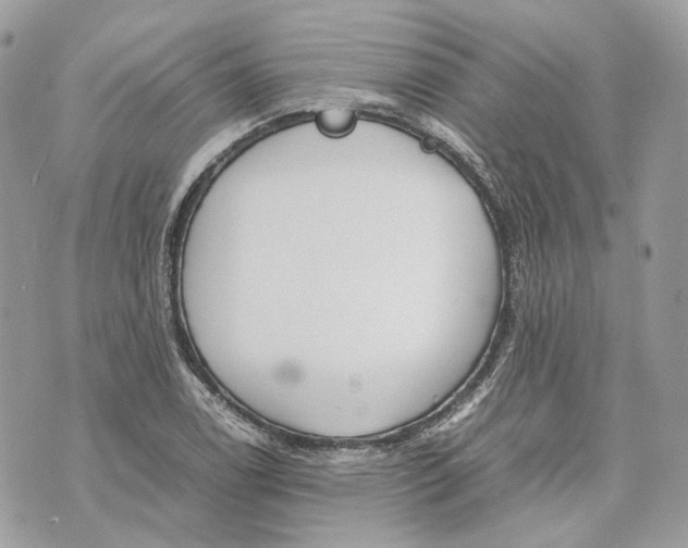 X0000070211122200606161635