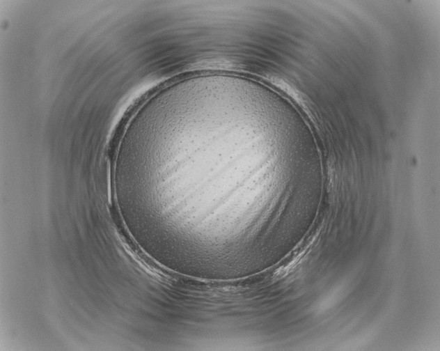 X0000070211123200606161635