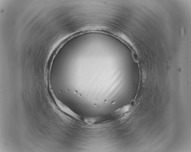 X0000070211124200606161635