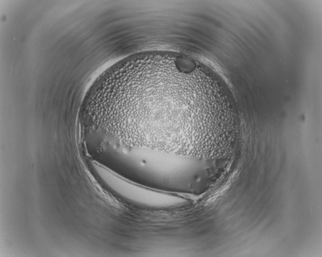 X0000070211125200606161635