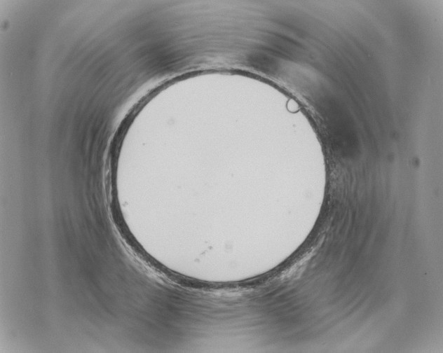 X0000070211126200606161635