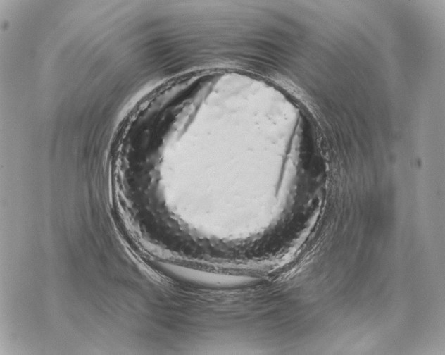 X0000070211127200606161635