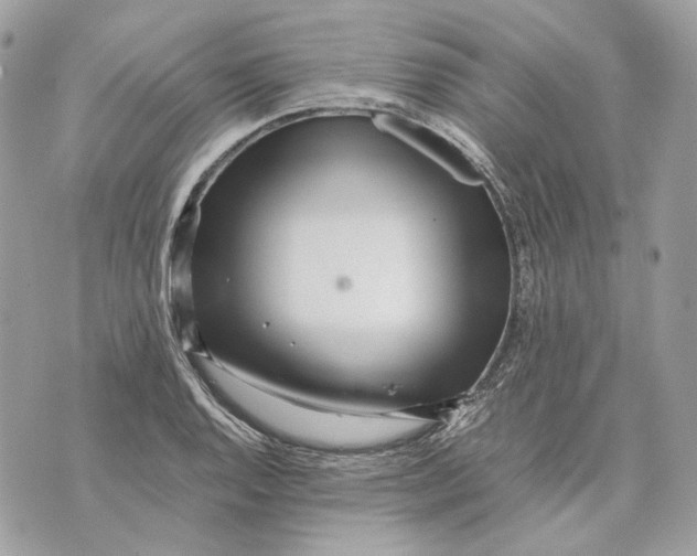 X0000070211128200606161635