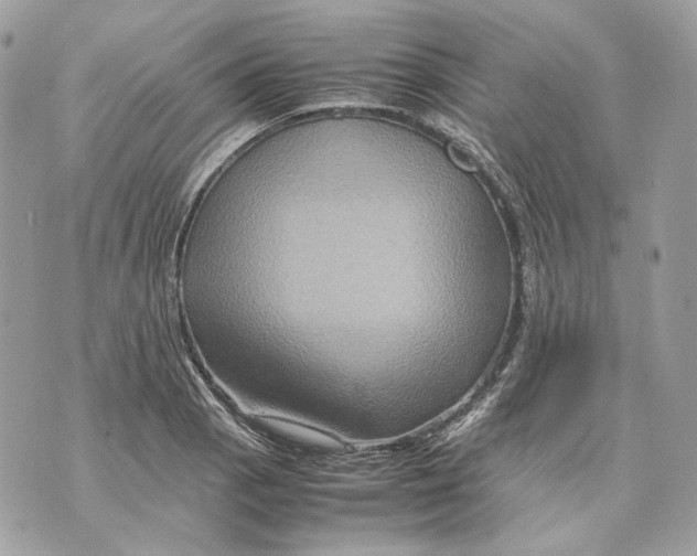 X0000070211129200606161635