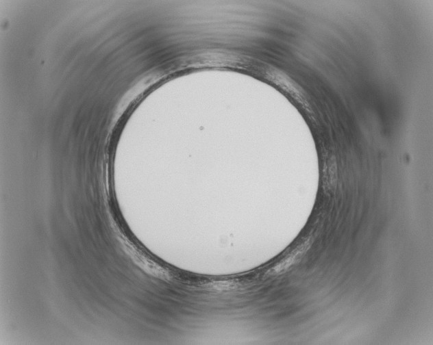 X0000070211130200606161635