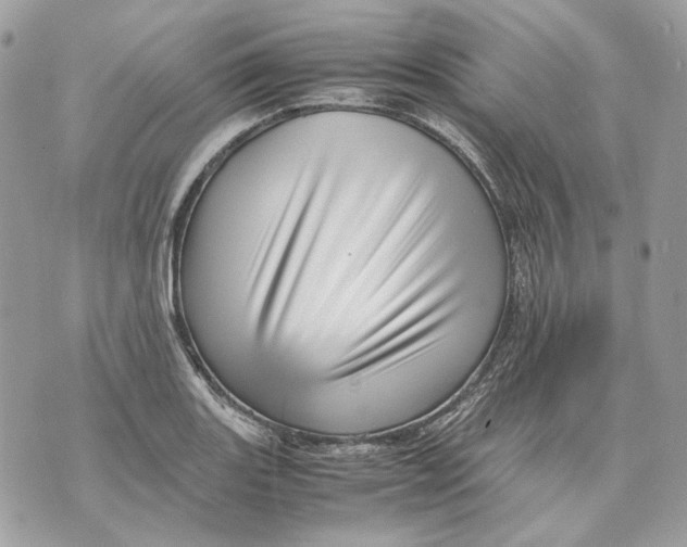 X0000070211131200606161635