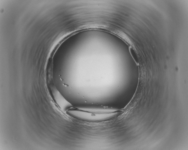 X0000070211132200606161635