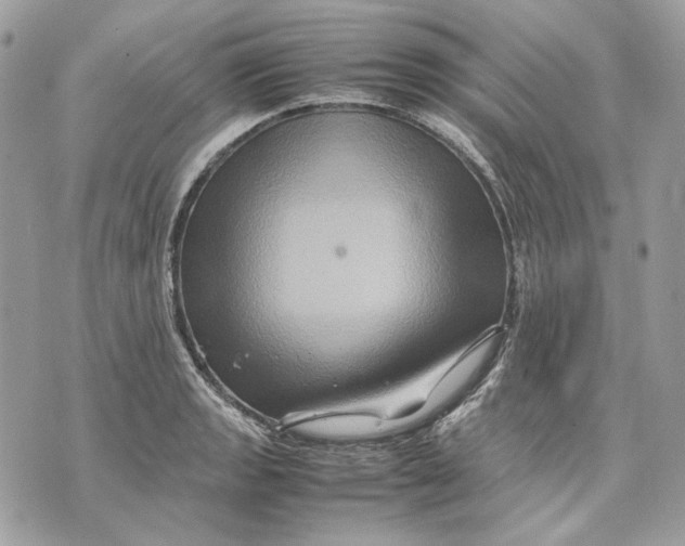 X0000070211133200606161635