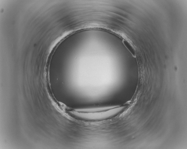 X0000070211134200606161635