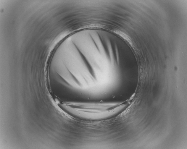 X0000070211135200606161635