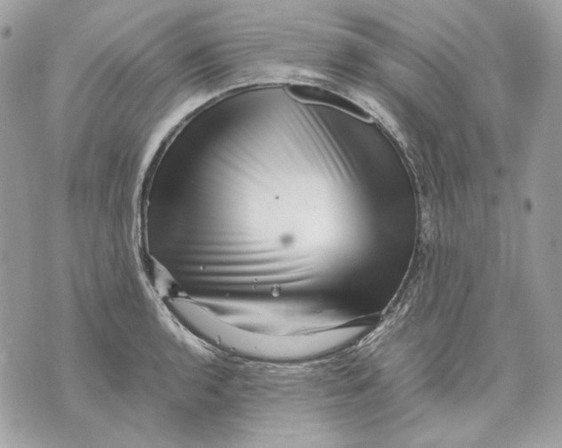 X0000070211136200606161635