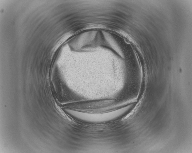 X0000070211137200606161635