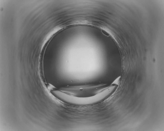 X0000070211139200606161635