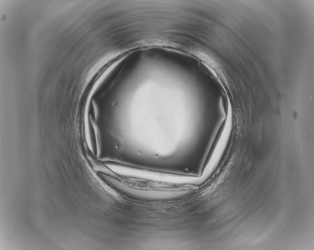 X0000070211141200606161635