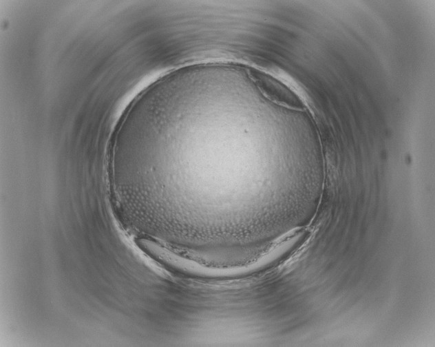 X0000070211142200606161635