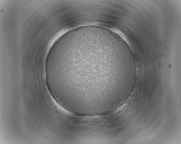 X0000070211143200606161635