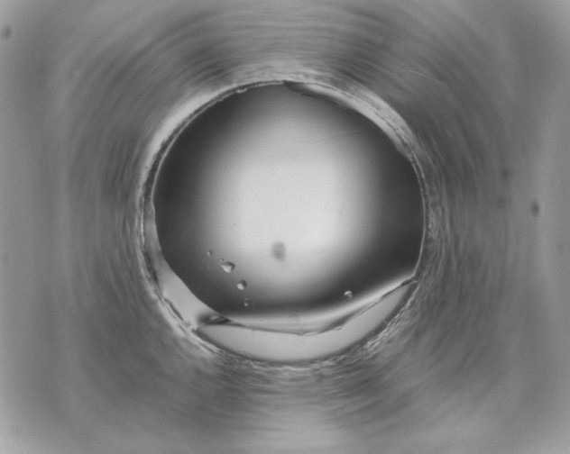 X0000070211144200606161635