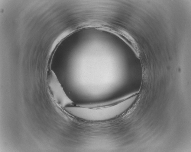 X0000070211146200606161635