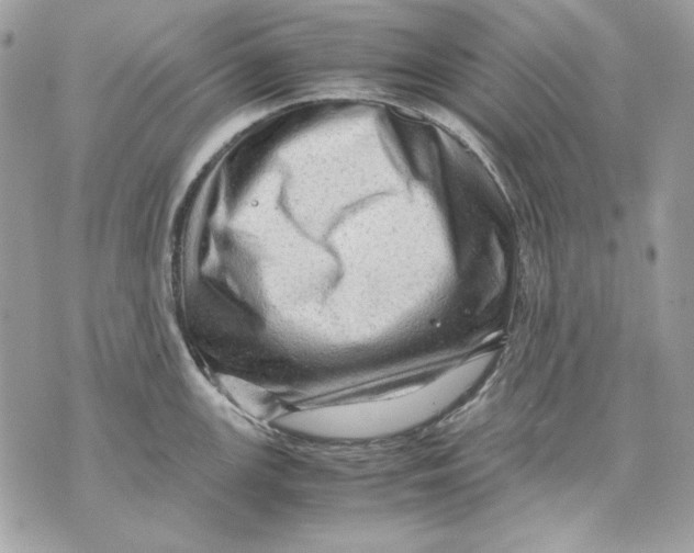 X0000070211147200606161635