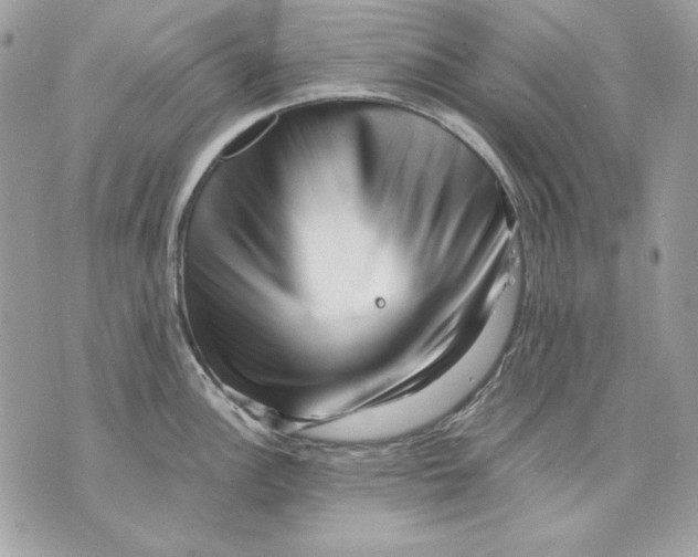 X0000070211148200606161635