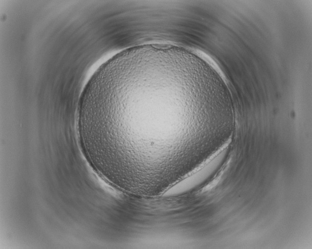 X0000070211149200606161635