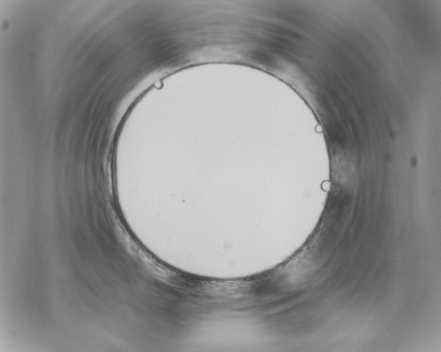 X0000070211150200606161635