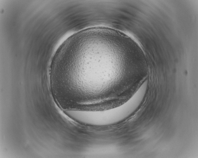 X0000070211151200606161635