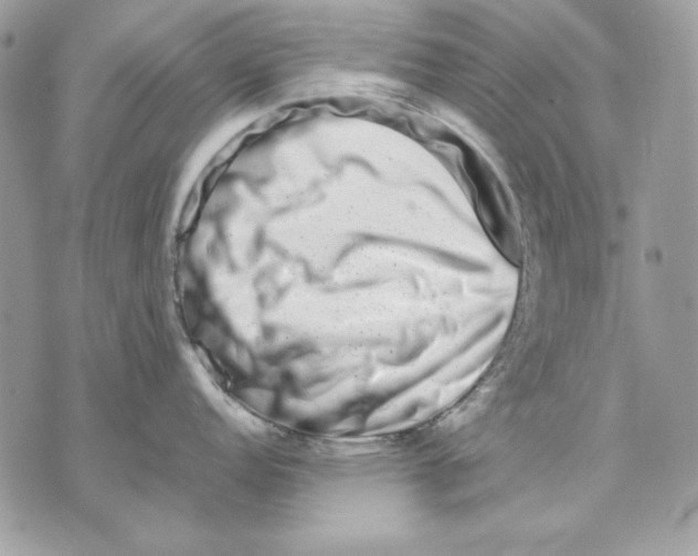 X0000070211152200606161635