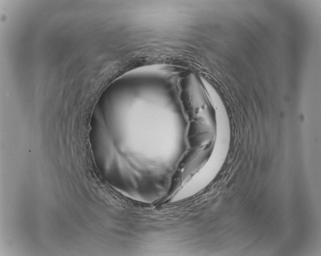 X0000070211153200606161634